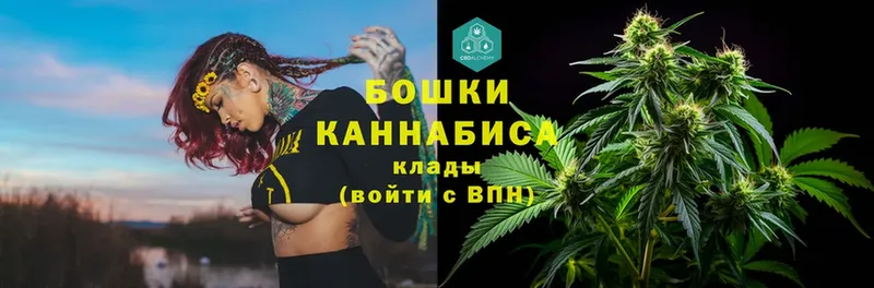 Шишки марихуана Bruce Banner  Олонец 